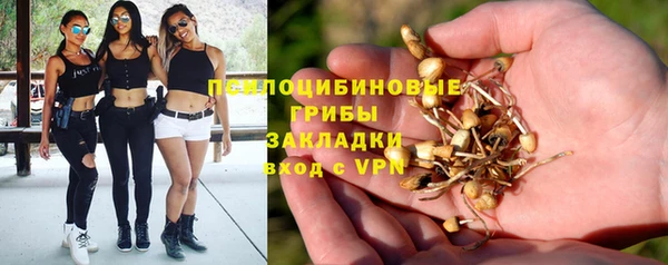 метамфетамин Белокуриха