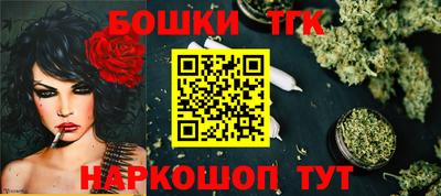 индика Лесосибирск
