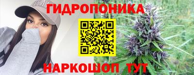индика Лесосибирск