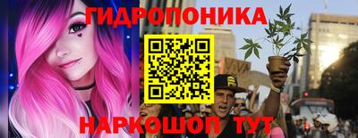 индика Лесосибирск