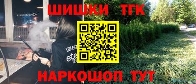 индика Лесосибирск