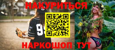 индика Лесосибирск