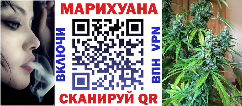 Бошки Шишки план  Великий Устюг 